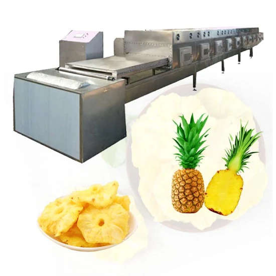 Personalización industrial del equipo de secado del hongo de la microonda del tipo correa de la categoría alimenticia